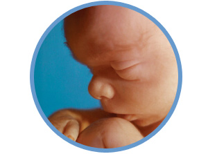 Discover the Facts Concerning Abortion